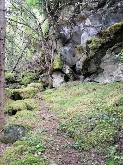 Guesthouse Hamran Mosvik Dış mekan fotoğraf