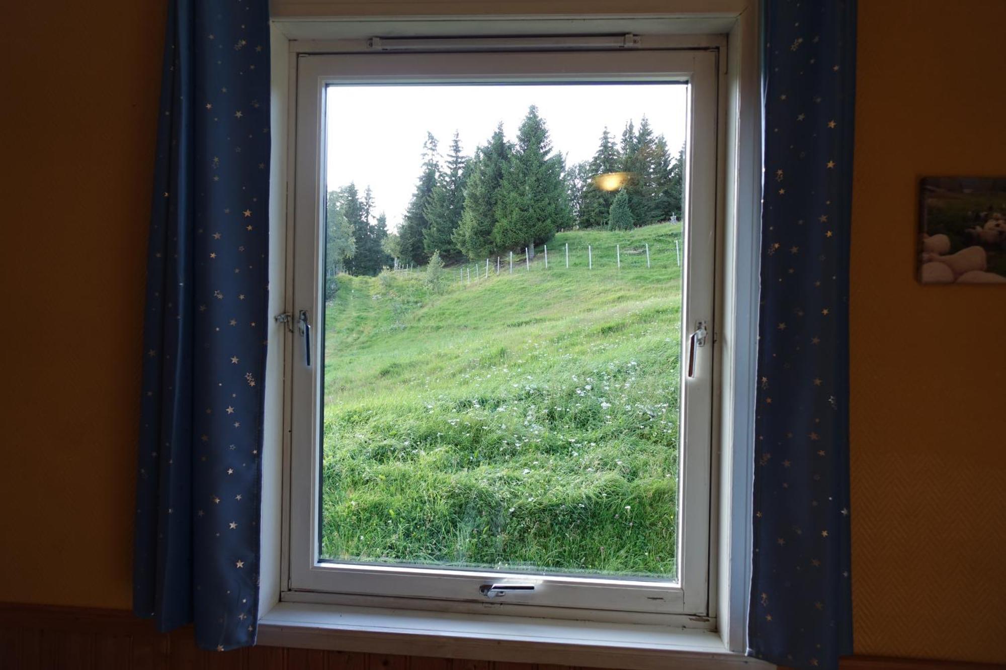 Guesthouse Hamran Mosvik Dış mekan fotoğraf